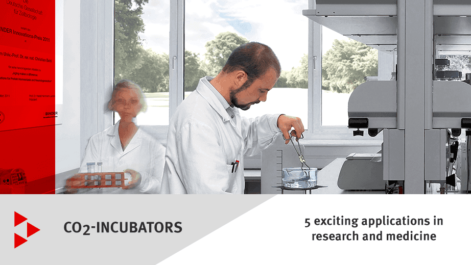 Five exciting applications for CO2 incubators